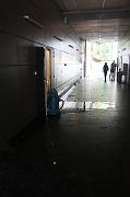 IMG_1429