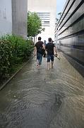 IMG_1460