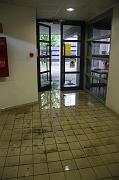 IMG_1464