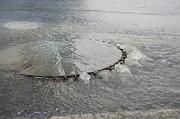 IMG_1465